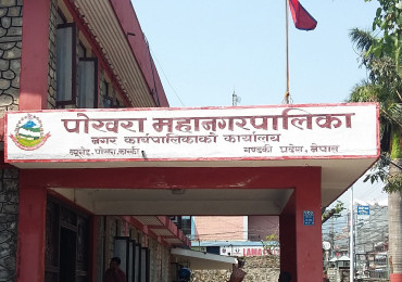 पोखरा महानगर अपडेट : गठबन्धनका उम्मेदवारले अग्रता बढाउँदै